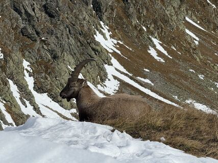 Photo from Ralph Ranner along the tour