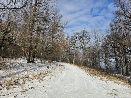 Foto de Attila Bicskó a lo largo del recorrido