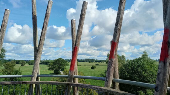 Ausblick vom Aussichtsturm Linteler Weiden