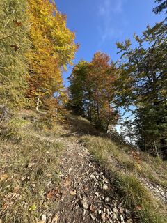 Photo de sophie le long du parcours
