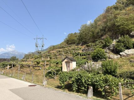 Photo de Koen De Wit le long du parcours