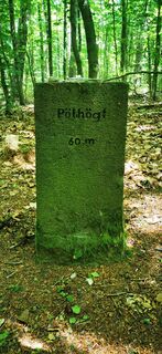 Photo de Klaus Lehner le long du parcours