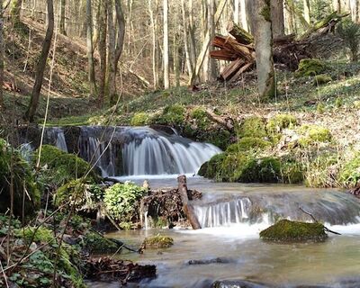 Kaskadental Bad Kissingen