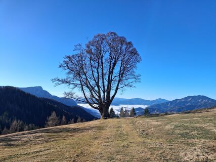 Foto von maria_hochschwab entlang der Tour
