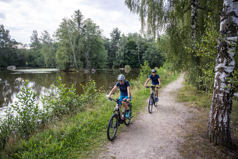 Naturpark Blockheide
