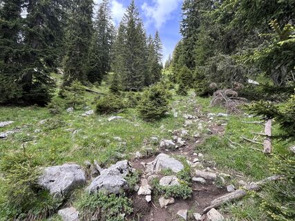 Photo de tobilan le long du parcours