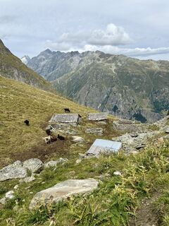 Foto von Käthi Schönbächler entlang der Tour
