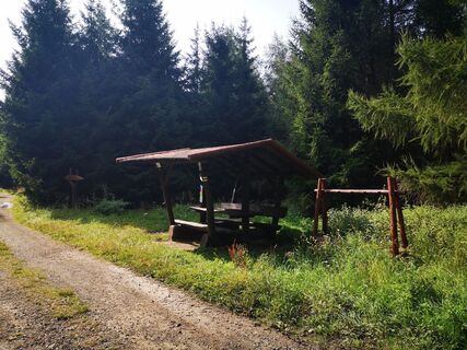 Photo de Denis Trapp 1 le long du parcours