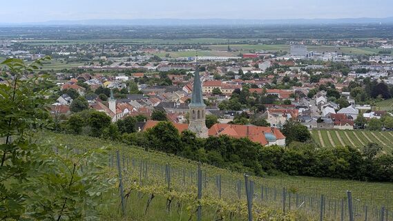 Photo de Jele Hannes le long du parcours