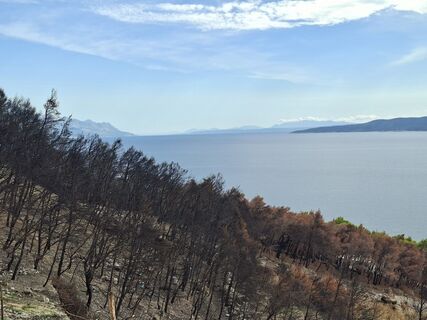 Fotografia z JoesBurg na trase