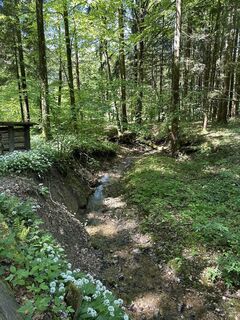 Foto von Babs Holz entlang der Tour