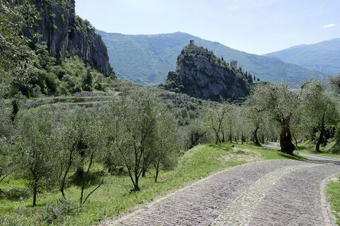 Die Burg von Arco und die Olivaia (Olivenhain)