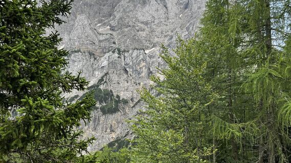 Zemljevid