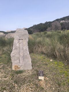 Zdjęcie z Darija Forgač wzdłuż trasy