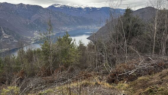 Fotografija s spletne strani ROBERTO BONIOTTI na poti