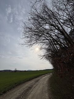 Zdjęcie z RS76 wzdłuż trasy