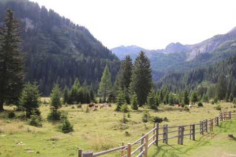 Foto von Günter Kleutsch entlang der Tour