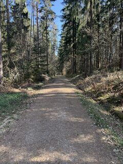 Photo de Andi le long du parcours