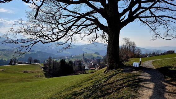 Foto von Dietmar Walser 1 entlang der Tour