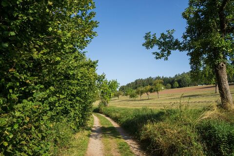 Der Weg nach Speßardt führt über offene Wiesen