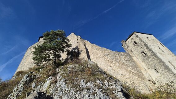 Foto fra Wolferl undervejs på turen