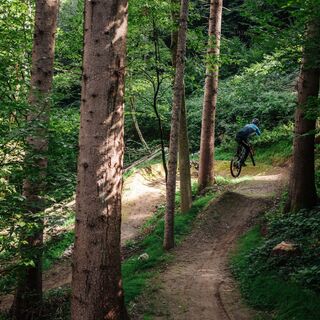 Sansily Trail