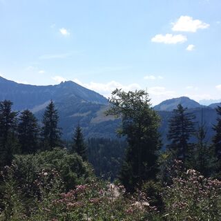 Gruberhorn, Regenspitz und Feichtensteinalm im Vordergrund
