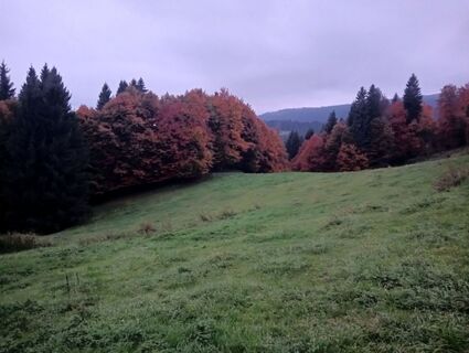 Foto de simone ravasi a lo largo del recorrido