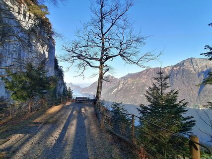 Fotografia z luyyy na trase