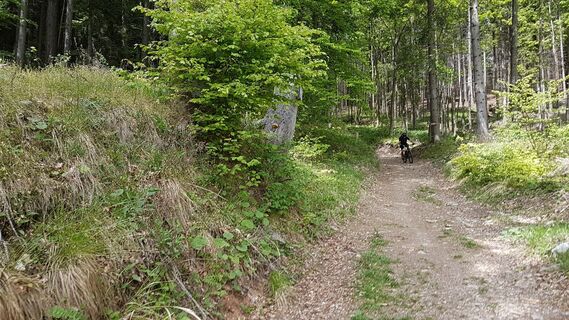 Geierkogel - Anfahrt Hohe Rannach