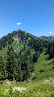 Fotografia z hochlandfamilie na trase