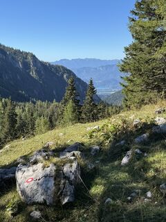 Foto von Jure Smej entlang der Tour