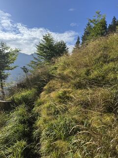 Foto de Sandro Leitinger a lo largo del recorrido