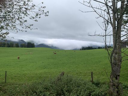 Foto van Ingo Fischer langs de tour