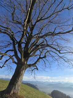 Photo de bikeandcamp le long du parcours