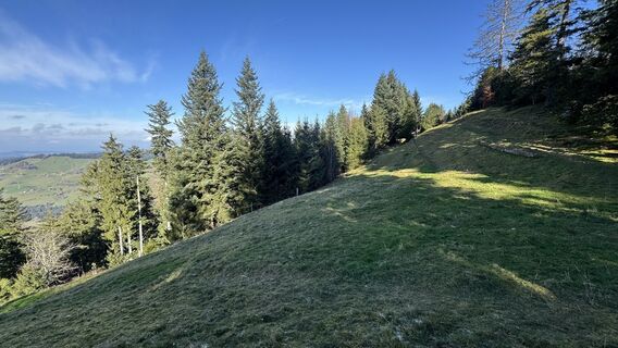 Fotografia z peter_oe na trase