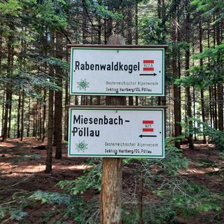 Wegweiser Rabenwaldkogel in der Oststeiermark
