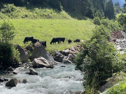 Foto von Ben Möhlmann entlang der Tour