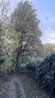 Photo de TIY le long du parcours