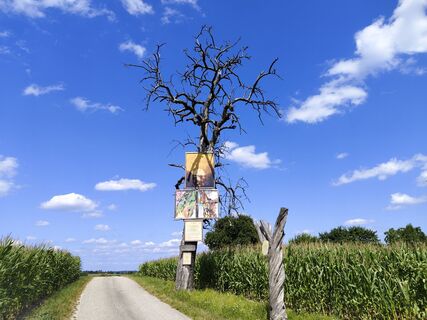 Foto von flexl-e entlang der Tour