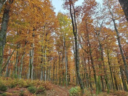 Foto von Katharina entlang der Tour
