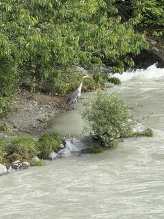 Photo from Michael Hohensinn along the tour