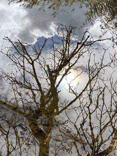 Foto da Schattenkaiser lungo il tour