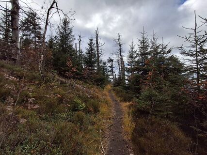 Zdjęcie z Christian Krebs wzdłuż trasy