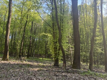 Foto de Reti Alicia a lo largo del recorrido