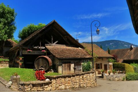 Dorf Vongnes