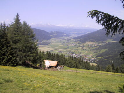 Wurzelhütte