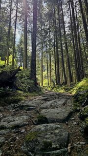 Foto von Grieshofer Gerlinde entlang der Tour