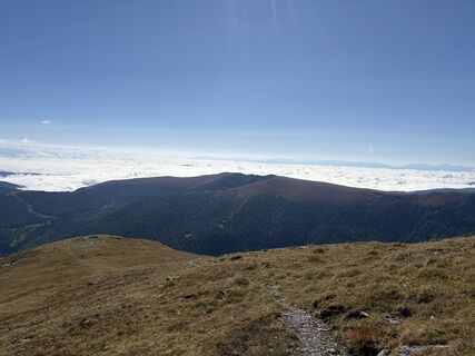 Fotografia z mmaier na trase