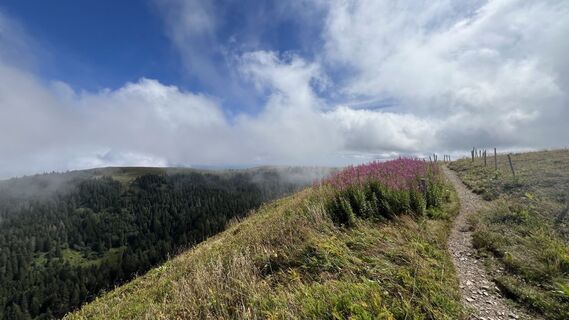 Foto från Volki F. under resans gång